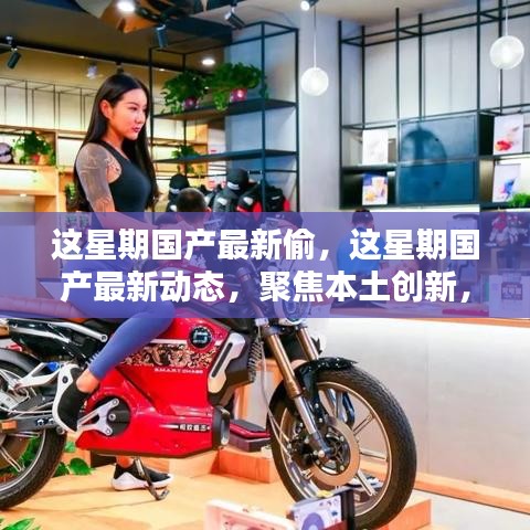 本周國產(chǎn)最新動(dòng)態(tài)聚焦，本土創(chuàng)新動(dòng)態(tài)與產(chǎn)業(yè)新動(dòng)向的洞悉