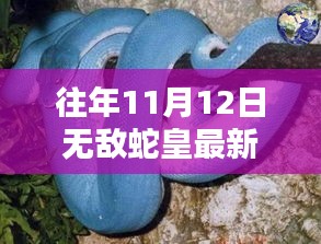 無敵蛇皇，十一月秘密與友情的溫暖日常（最新更新）