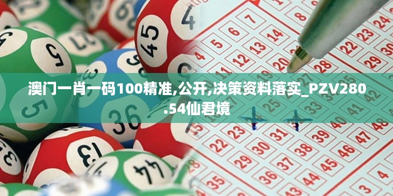 澳門一肖一碼100精準,公開,決策資料落實_PZV280.54仙君境