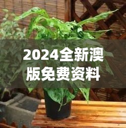 2024全新澳版免費(fèi)資料集，植物防護(hù)秘籍——九天太仙FLQ414.11