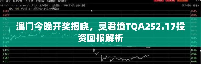 澳門今晚開獎(jiǎng)揭曉，靈君境TQA252.17投資回報(bào)解析
