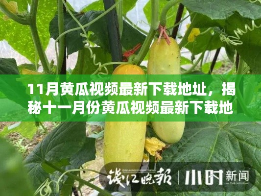 揭秘十一月份黃瓜視頻最新下載地址，背景、影響與時(shí)代地位分析