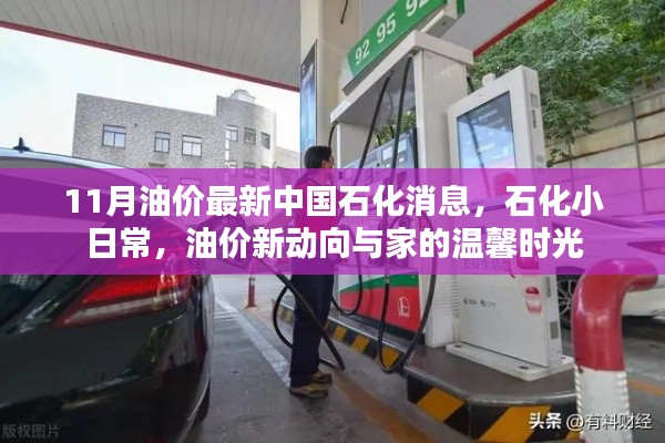 中國石化油價最新動態(tài)，日常石化生活與油價新動向的溫馨時光