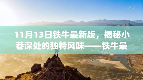 鐵牛最新版特色小店探索之旅，小巷深處的獨(dú)特風(fēng)味揭秘
