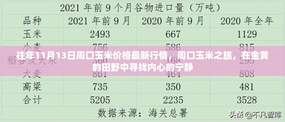 往年11月13日周口玉米價格更新，田野探索與內(nèi)心寧靜之旅