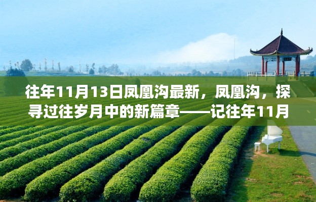 鳳凰溝探尋歲月變遷，往年11月13日的最新篇章