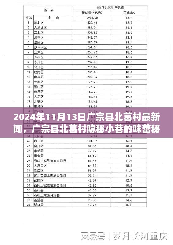 廣宗縣北葛村隱秘小巷的美食秘境，最新探秘之旅（2024年11月13日）