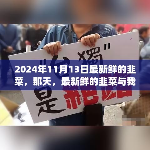 新鮮韭菜與溫馨故事，2024年11月13日的邂逅