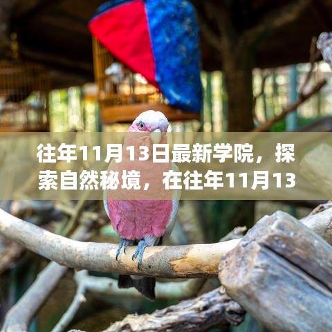 往年11月13日學(xué)院探索自然秘境之旅，追尋內(nèi)心的寧?kù)o與笑聲