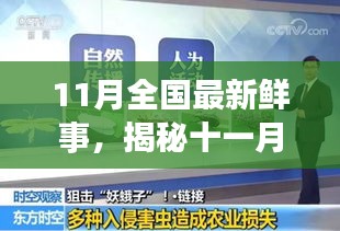 揭秘十一月全國(guó)新鮮事，熱點(diǎn)聚焦與科普解讀