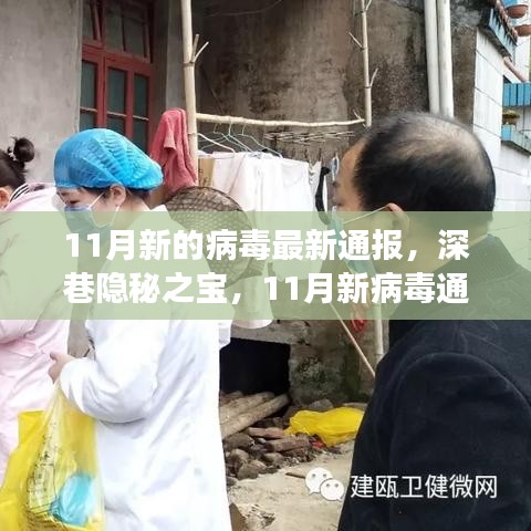 深巷美食與隱秘病毒，11月最新通報的雙重探索
