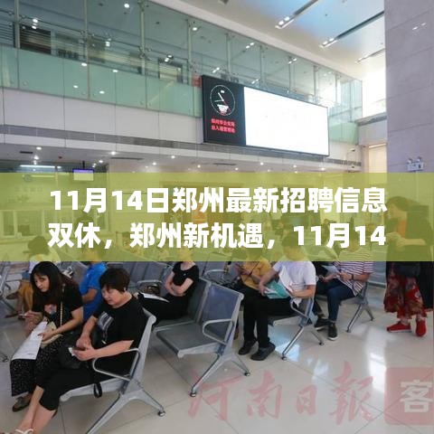 鄭州最新招聘信息揭秘，學(xué)習(xí)與成長(zhǎng)之旅，雙休路上的自信與成就感