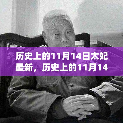 歷史上的11月14日太妃傳奇，最新解讀與影響全解析
