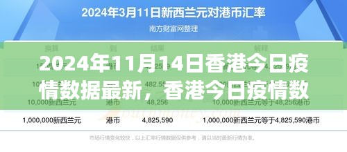 2024年11月14日香港疫情數(shù)據(jù)報告，最新分析與觀察思考
