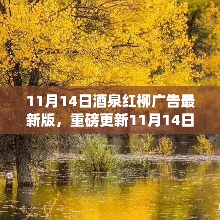 11月14日酒泉紅柳廣告最新版，重磅更新，精彩紛呈