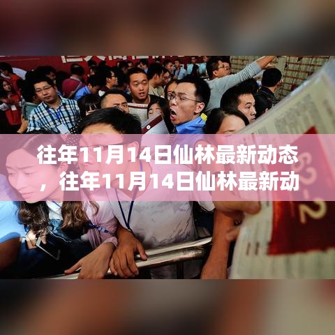 往年11月14日仙林動態(tài)深度解析，特性體驗、競品對比與用戶群體分析報告