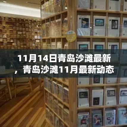 探尋秋日青島沙灘別樣風(fēng)情，最新動(dòng)態(tài)與沙灘風(fēng)情體驗(yàn)（11月篇）