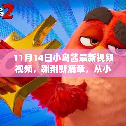 小鳥醬翱翔新篇章，學(xué)習(xí)變化的力量揭秘視頻首曝