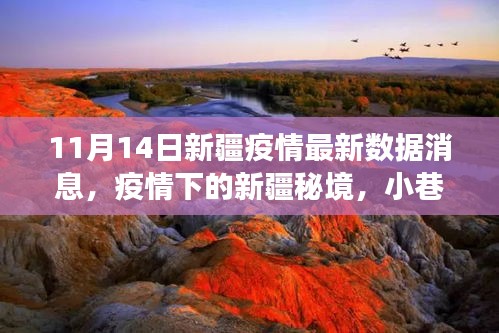 新疆疫情最新動態(tài)，秘境小巷的特色小店與疫情數(shù)據(jù)交織的故事