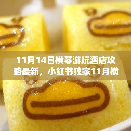 11月橫琴游玩酒店最新攻略，小紅書獨家指南，暢游無憂住宿體驗