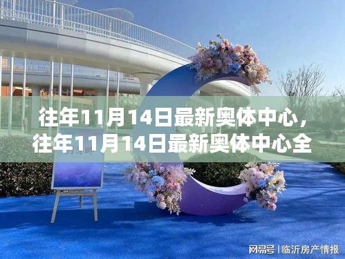 往年11月14日奧體中心全面評測與介紹，最新動態(tài)及場館特色展示