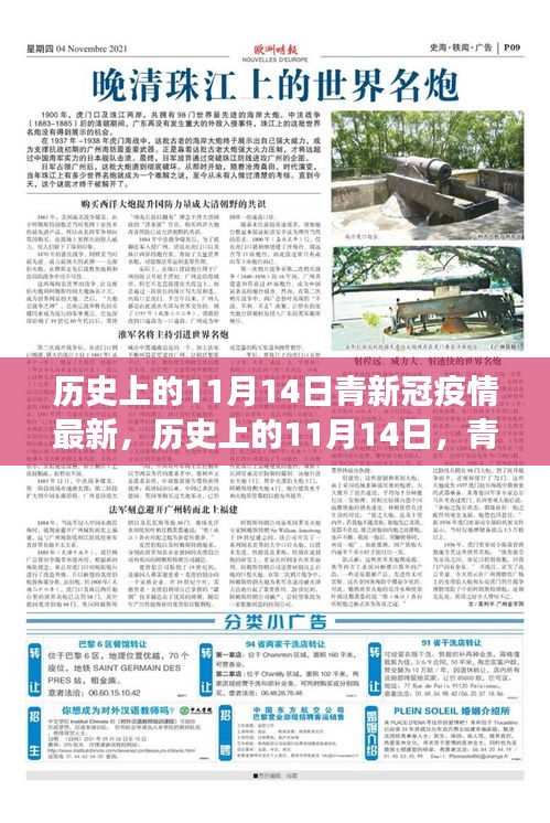 歷史上的11月14日，青新冠疫情最新進(jìn)展及其社會(huì)反響與觀點(diǎn)碰撞