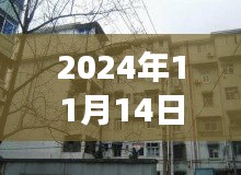 洛寧二手房最新信息探索，巷弄之韻與隱藏的小巷故事（最新信息門戶）