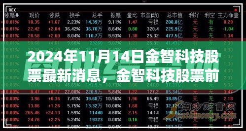 金智科技最新動態(tài)及前景展望，深度解讀2024年11月14日股市消息