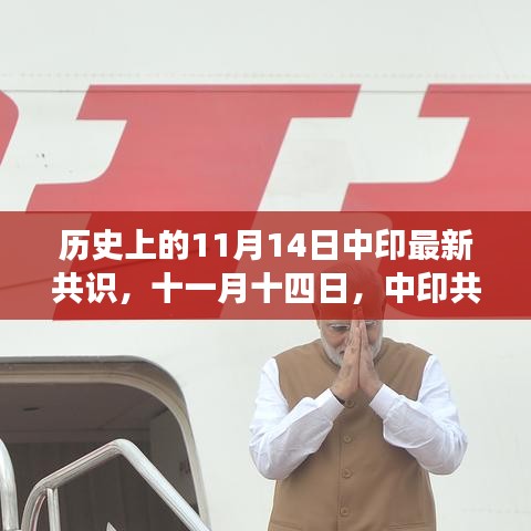 中印共識繪未來，十一月十四日的新篇章達成，希望符合您的要求，您也可酌情調(diào)整。