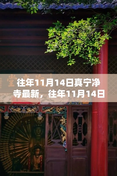 往年11月14日真寧凈寺探訪攻略，領(lǐng)略古寺魅力，最新指南全解析