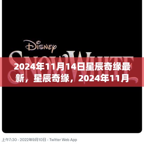 星辰奇緣夢(mèng)幻邂逅，2024年11月14日星辰大海的最新揭秘