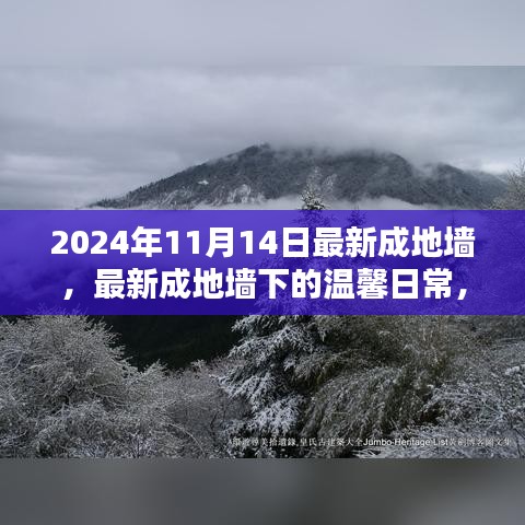 最新成地墻下的溫馨日常，友誼與愛共筑美好家園的2024年1月記事