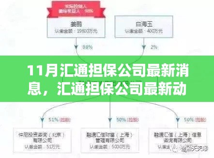 匯通擔(dān)保公司最新動態(tài)解析及觀點探析，11月最新消息速遞