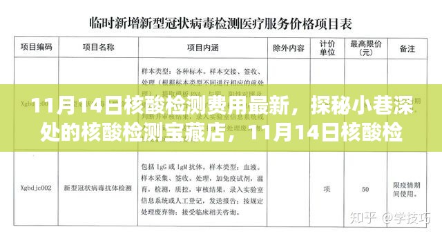 探秘核酸檢測寶藏店，揭秘最新核酸檢測費用新鮮事（11月14日更新）