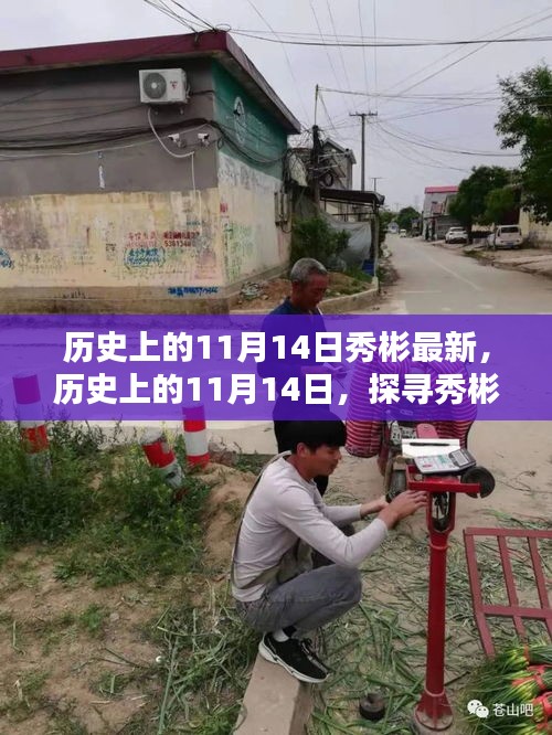 探尋秀彬的最新足跡，歷史上的11月14日回顧與最新進(jìn)展