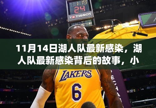 湖人隊最新感染背后故事揭秘，小巷寶藏探秘之旅