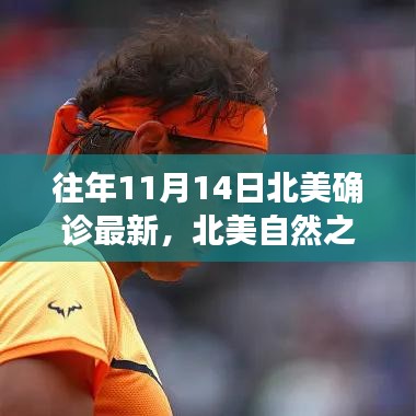 北美自然之旅，探尋美景與內(nèi)心寧靜的旅程，歷年北美確診最新資訊回顧