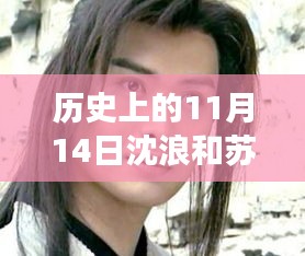 歷史上的11月14日揭秘沈浪和蘇若雪最新進(jìn)展，最新故事進(jìn)展揭秘！