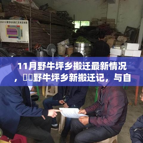野牛坪鄉(xiāng)搬遷最新動態(tài)，與自然共舞的新生活啟程