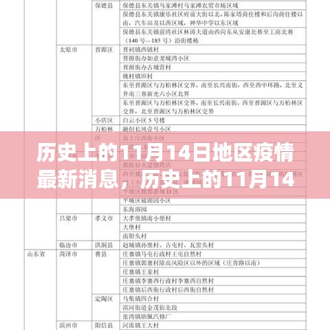 歷史上的11月14日全球疫情進(jìn)展與地區(qū)動態(tài)分析，最新消息及進(jìn)展概述