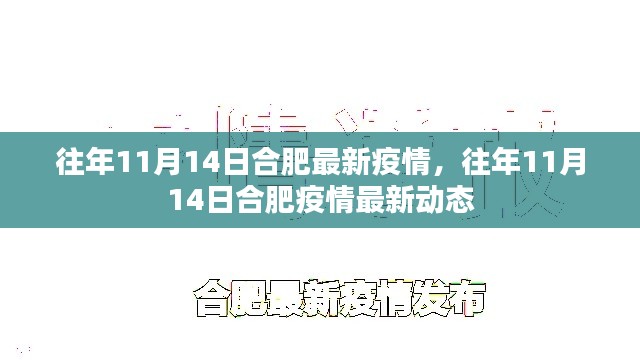 往年11月14日合肥疫情最新動(dòng)態(tài)及防疫情況概述