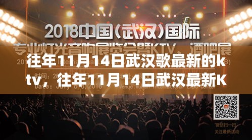 往年11月14日武漢KTV深度體驗與評測，最新場所及感受分享