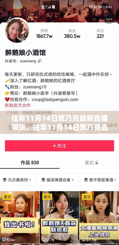 賈乃亮直播帶貨回顧，全面評測與介紹，歷年雙十一直播帶貨新動態(tài)