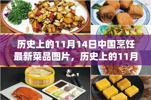 11月14日中國(guó)烹飪新菜品圖片展示，歷史菜品深度評(píng)測(cè)與介紹