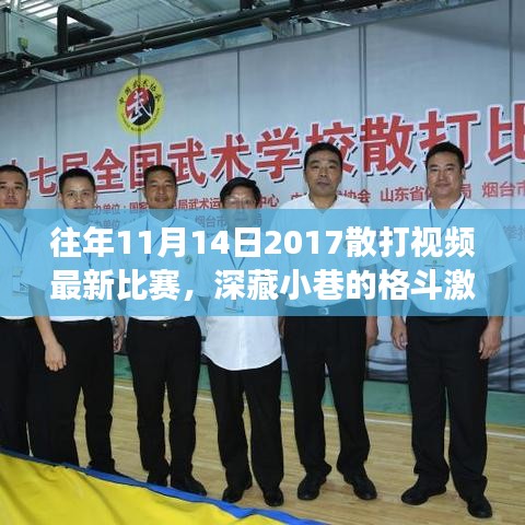 揭秘深藏小巷的獨(dú)特小店，往年散打比賽的激情重現(xiàn)與神秘角落探索（2017年11月14日最新比賽視頻）