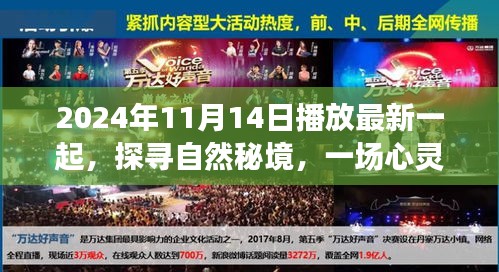 探尋自然秘境，心靈之旅啟程于2024年11月14日