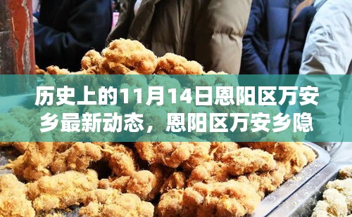 恩陽區(qū)萬安鄉(xiāng)隱秘小巷的百年風(fēng)味揭秘，最新動(dòng)態(tài)報(bào)道在11月14日