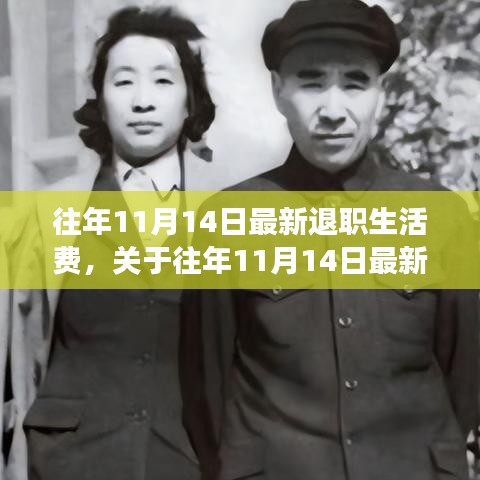 往年11月14日退職生活費(fèi)調(diào)整解讀與展望，最新政策分析與生活費(fèi)趨勢展望