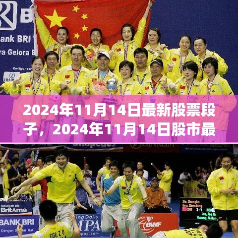 揭秘未來投資熱點，最新股市動態(tài)與股票段子，2024年11月14日深度解析