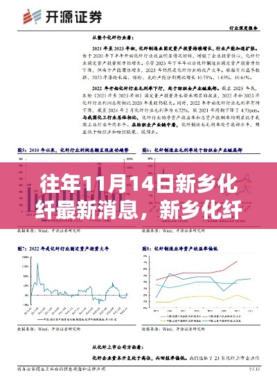 新鄉(xiāng)化纖最新動態(tài)聚焦觀點分析，歷年11月14日深度解讀